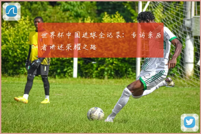 世界杯中国进球全记录:专访亲历者讲述荣耀之路