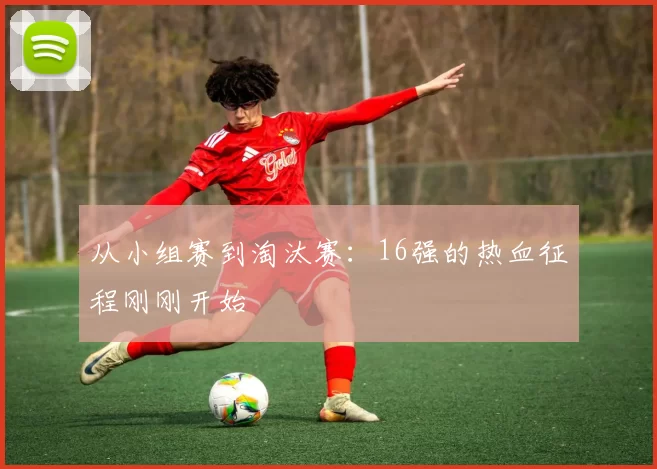 从小组赛到淘汰赛:16强的热血征程刚刚开始