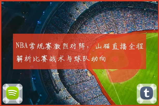 NBA常规赛激烈对阵,山猫直播全程解析比赛战术与球队动向
