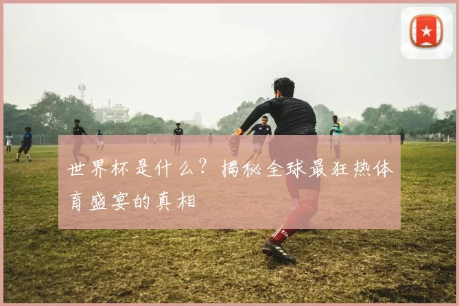 世界杯是什么？揭秘全球最狂热体育盛宴的真相