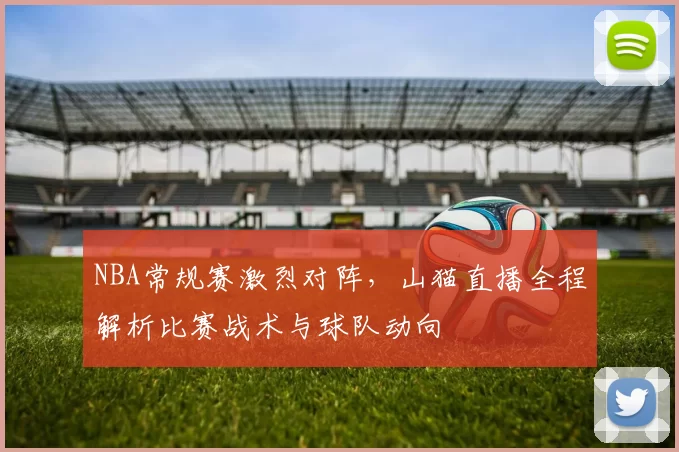 NBA常规赛激烈对阵,山猫直播全程解析比赛战术与球队动向