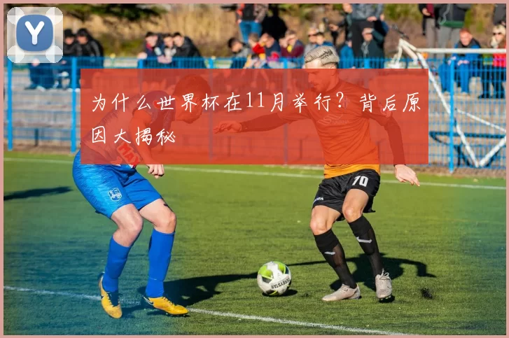 为什么世界杯在11月举行？背后原因大揭秘