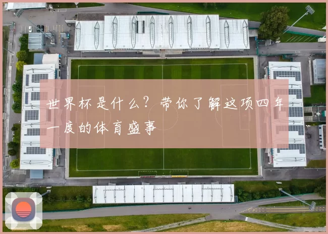 世界杯是什么？带你了解这项四年一度的体育盛事