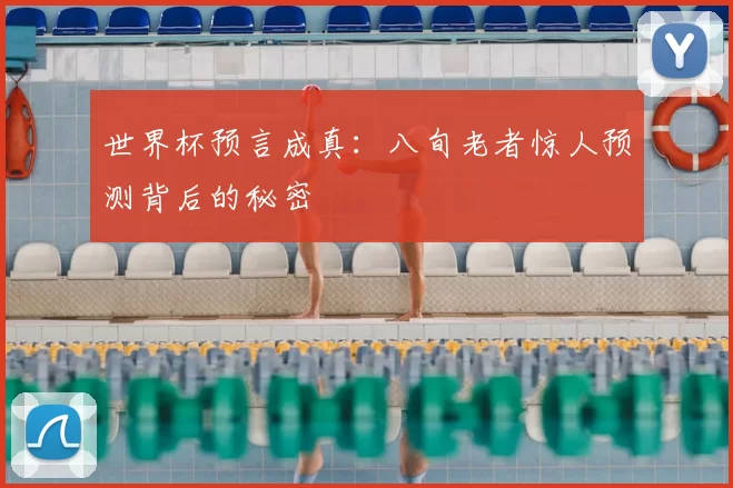 世界杯预言成真:八旬老者惊人预测背后的秘密
