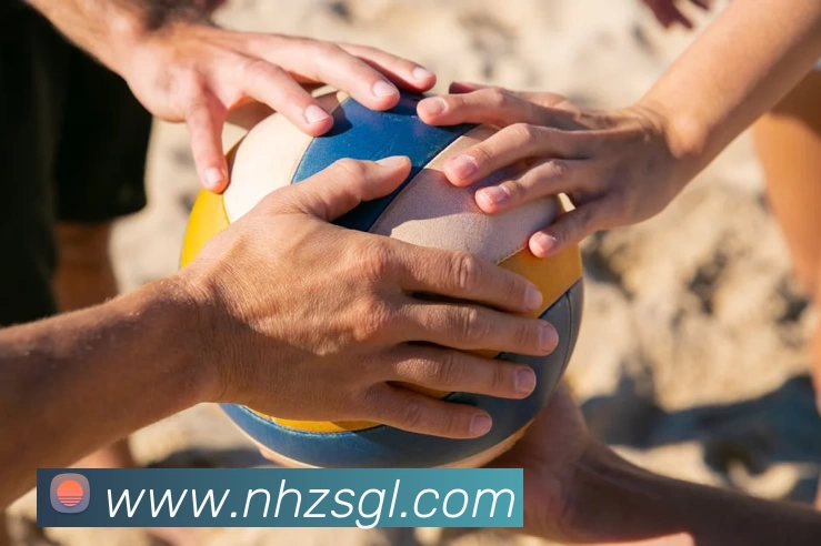 华体平台生态图